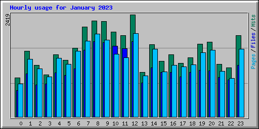 Hourly usage for January 2023